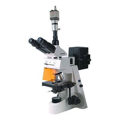 熒光顯微鏡BM-19AYC(電腦、落射)