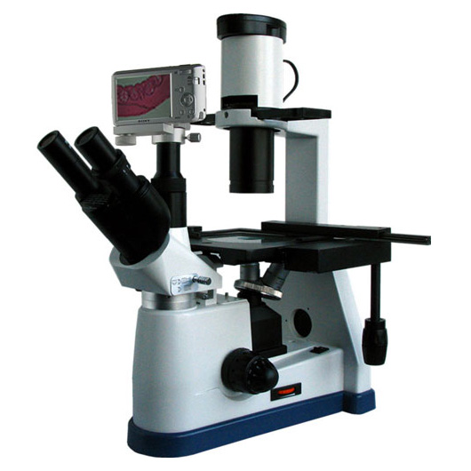 倒置生物顯微鏡BM-37XBS(數碼)